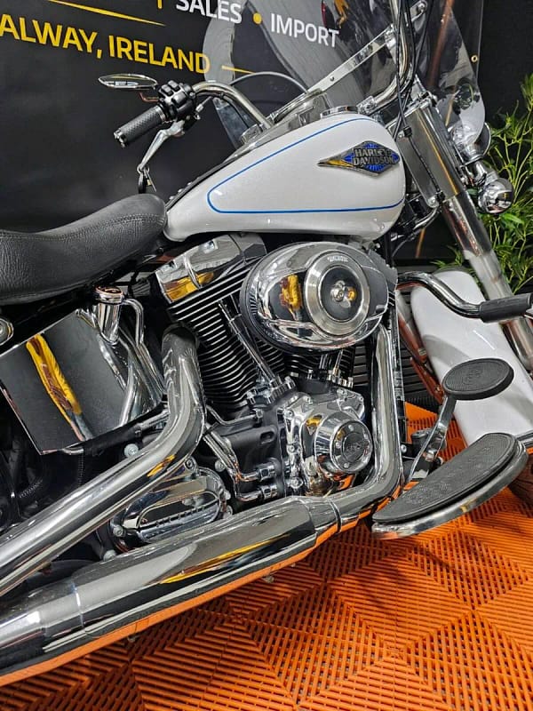 Harley-Davidson FLSTC
